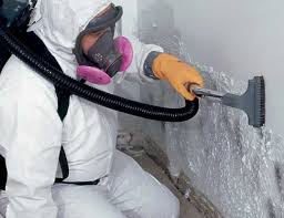 Best Comprehensive Air Testing for Mold Contaminants  in Eagle Mountain, UT